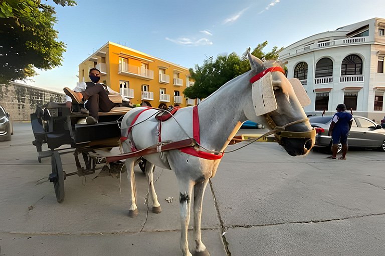 DEAL! Hip & Lovely Apt in Old Town, Hot Water